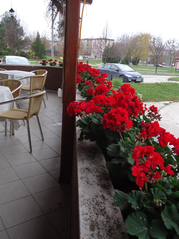 Czermann Panzio Es Etterem Hotel Oroszlány Exterior photo